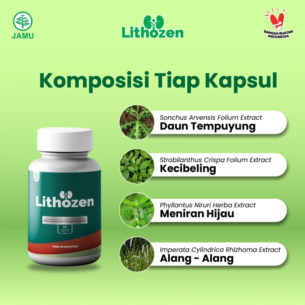obat batu ginjal obat kencing batu
